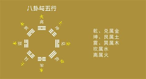 金木水火土代表|「万物类象」金、水、木、火、土五行取象